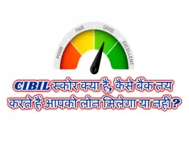 CIBIL Credit Report